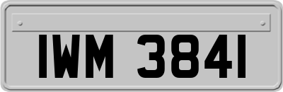 IWM3841
