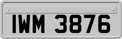 IWM3876
