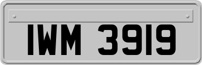 IWM3919