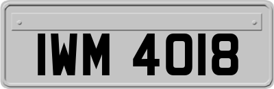 IWM4018
