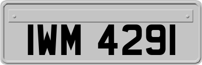 IWM4291