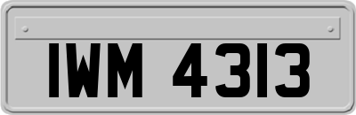IWM4313