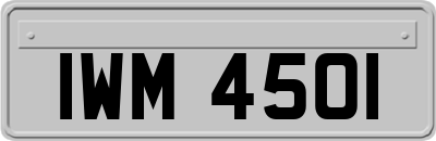 IWM4501