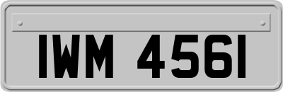 IWM4561