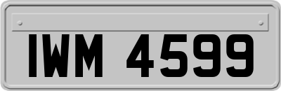 IWM4599