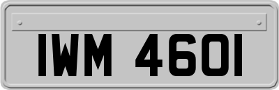 IWM4601