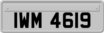 IWM4619