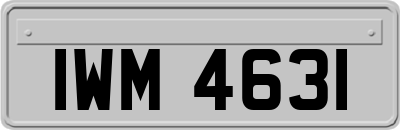 IWM4631