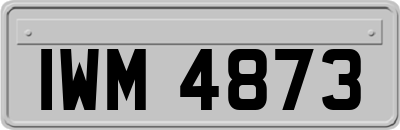 IWM4873
