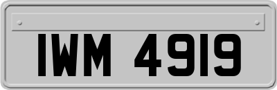IWM4919