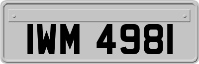 IWM4981