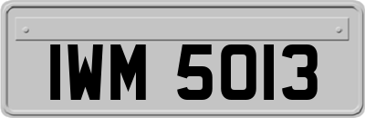 IWM5013