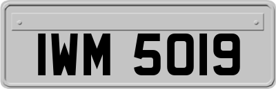 IWM5019