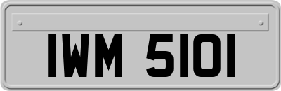IWM5101