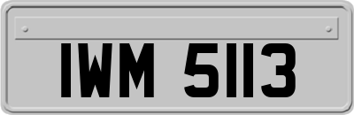 IWM5113
