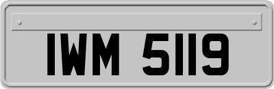 IWM5119