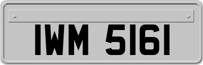 IWM5161