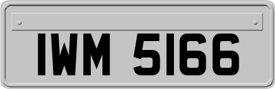 IWM5166