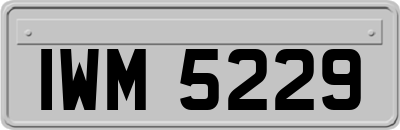 IWM5229
