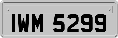 IWM5299