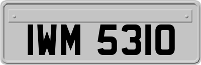 IWM5310