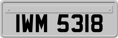 IWM5318