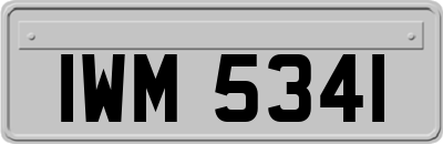 IWM5341