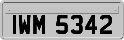 IWM5342