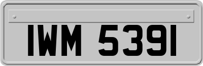IWM5391