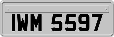 IWM5597