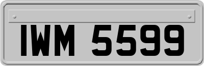 IWM5599