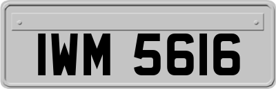 IWM5616