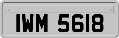 IWM5618
