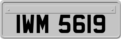 IWM5619