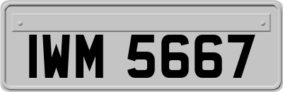 IWM5667