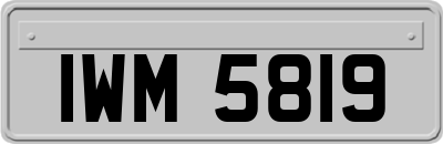 IWM5819