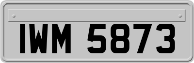 IWM5873