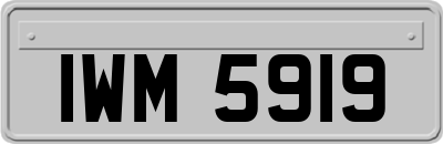 IWM5919