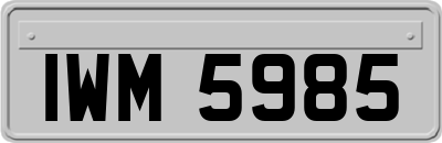 IWM5985