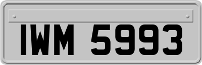 IWM5993