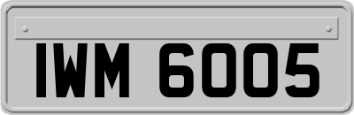 IWM6005