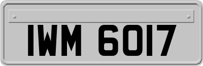IWM6017