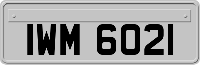 IWM6021