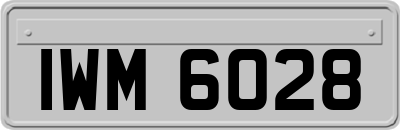 IWM6028