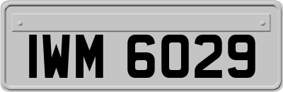 IWM6029