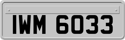 IWM6033
