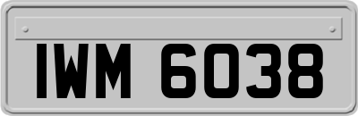 IWM6038