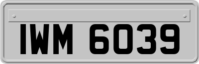 IWM6039