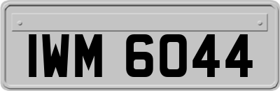 IWM6044