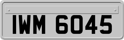 IWM6045